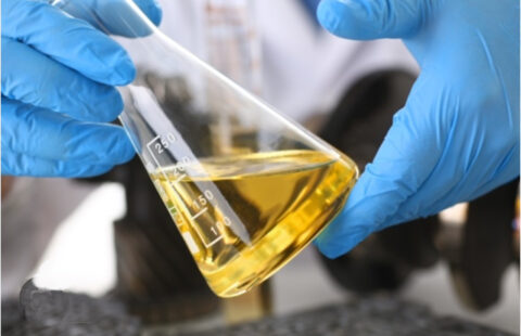 Rimuovere la plastica dal pianeta e guadagnare facendo del bene? Ora è possibile!